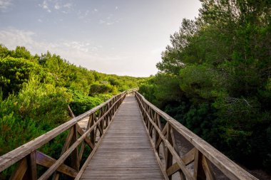 Can Picafort, Alcudia bay, Mayorka Playa de Muro Beach boardwalk Köprüsü