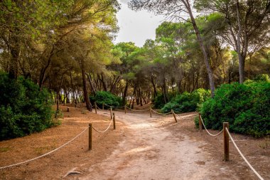 Alcudia, Majorca için Can Picafort üzerinden küçük bir doğal rezerv ile ip çitlerle çevrili yürüyüş yolu