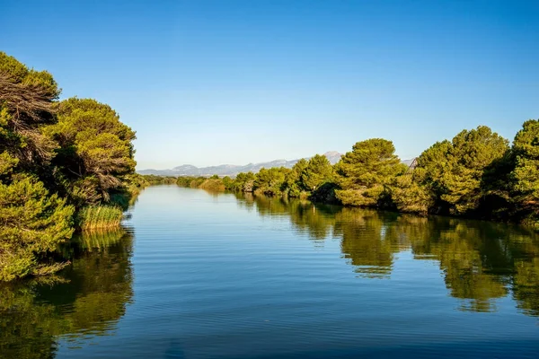 Albufera natuurpark lagune in de buurt van Alcudia, Mallorca — Stockfoto