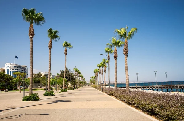 Palmeiras altas ao longo do passeio na cidade de Limassol, Chipre — Fotografia de Stock
