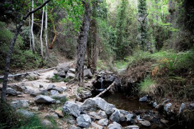 Caledonia şelale bir küçük nehir dere boyunca bir yürüyüş trek,