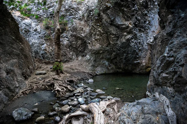 Piscina de cascada Millomeris, raíces de árboles y rocas de guijarros, cerca de Platres — Foto de Stock