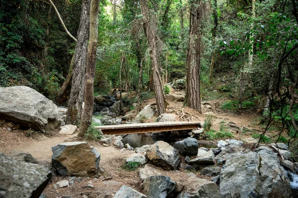 Un cruce a través de un pequeño río en una cascada de Caledonia — Foto de Stock