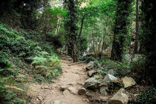 Una caminata panorámica a través del bosque hasta la cascada de Caledonia cerca de Platres — Foto de Stock