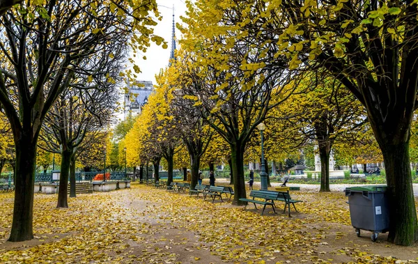 Amarillos Árboles Parque Plaza Jean Xxiii Con Notre Dame Paris — Foto de Stock