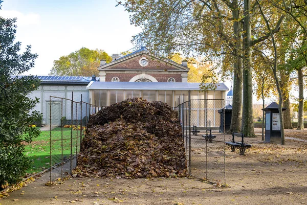Giant Pile Leaves Collected Gardens Luxembourg Palace Paris France — Stock Photo, Image