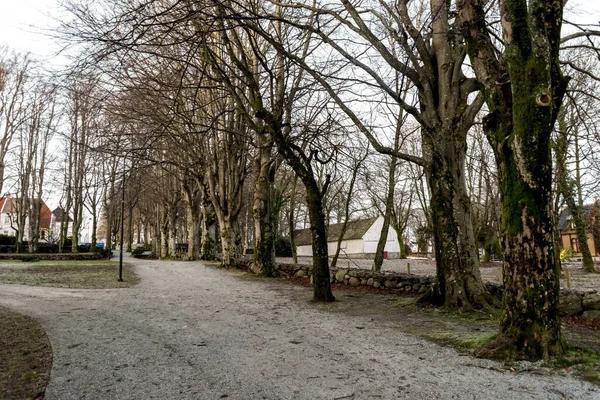 Road Scenic Garden Bare Trees Ledaalsparken Park Winter Season Stavanger — Stock Photo, Image