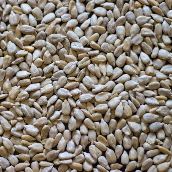 soyulmuş Ayçiçek tohumu arka plan