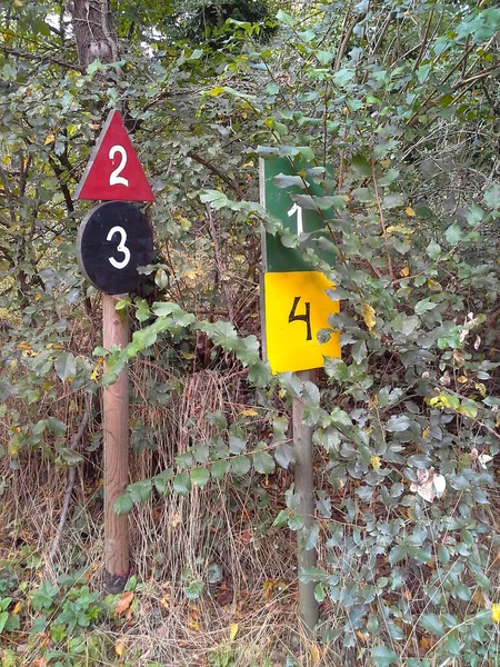 Orman işaretleri ve semboller, ahşap yol, yürüyüş işaretleri.