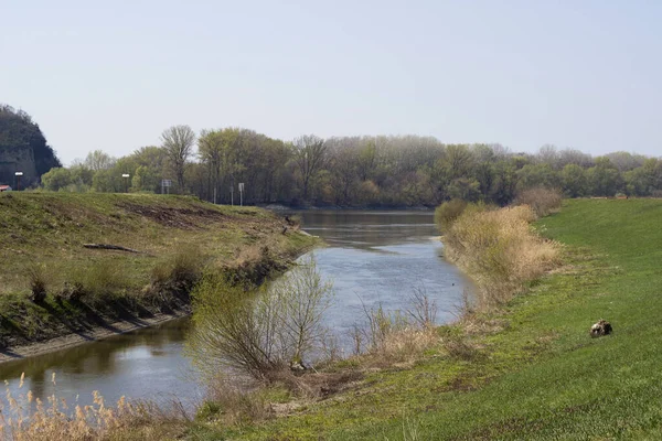 Danubetis Adanube Canal Dtd Près Bezdan Près Sombor Début Canal — Photo