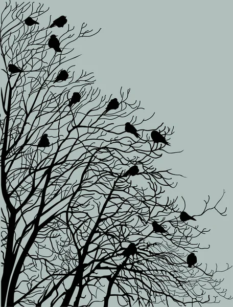 Árvore de silhueta pássaros negros Vetores De Stock Royalty-Free