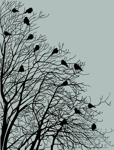 Silueta árbol pájaros negros Vector de stock