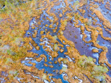 Lapland sonbahar renkleri bataklık üzerinde havadan görünümü