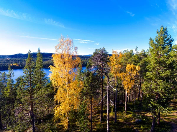 Visa från en kulle till en sjö över skogen i höstens färger i Lapl — Stockfoto