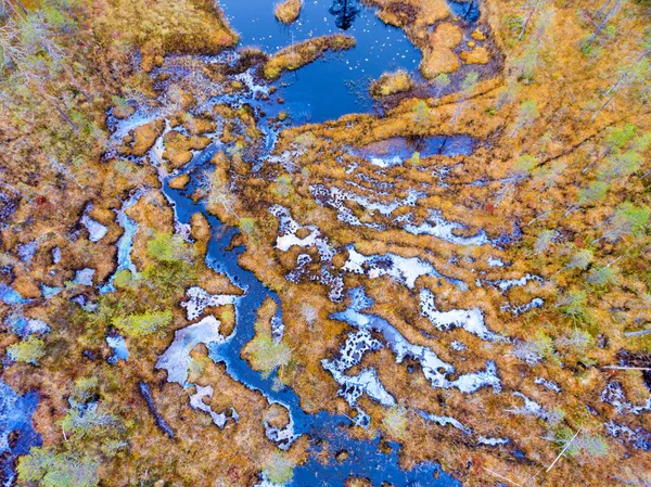 Aerial view over a swamp in autumn colours in Lapland — Stock Photo, Image