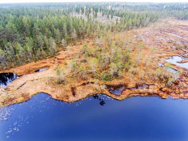 Luftaufnahme eines strahlend blauen Sees in einem Sumpf in Lappland — Stockfoto