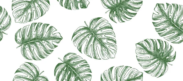 Feuilles Tropicales Dessinées Main — Image vectorielle