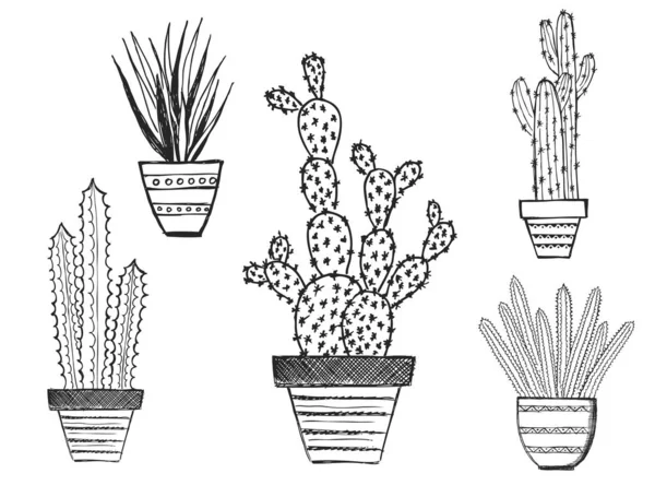 Cactus Isolato Sfondo Bianco — Vettoriale Stock