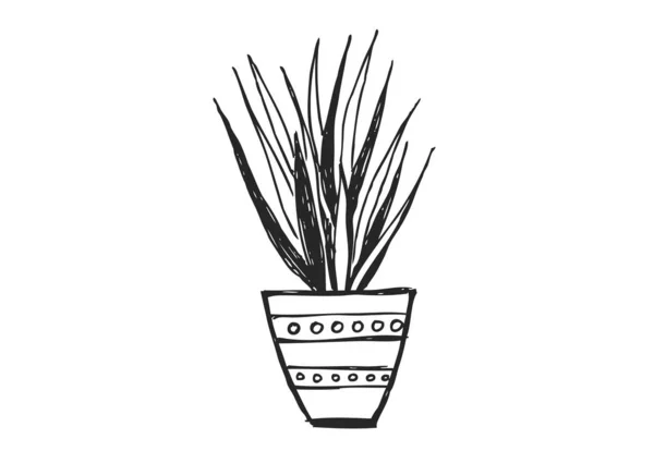Kaktus Isolerad Vit Bakgrund — Stock vektor