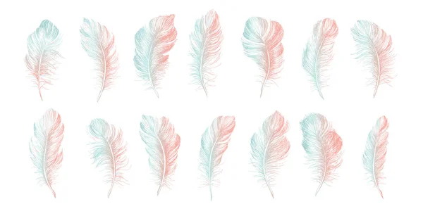 Feathers Set Hand Drawn White Background — ストックベクタ