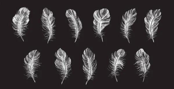 Plumes Dessinées Main Sur Fond Blanc — Image vectorielle