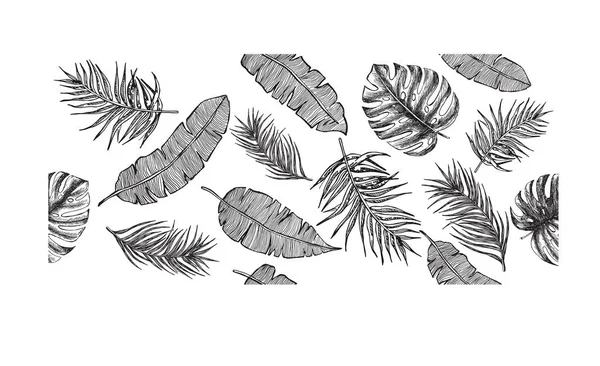 Illustration Feuilles Tropicales Dessinée Main — Image vectorielle