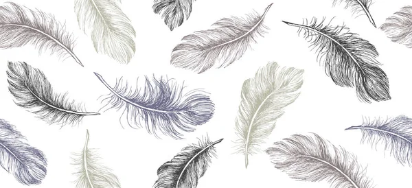 Histoire Des Plumes Illustration Dessinée Main — Image vectorielle