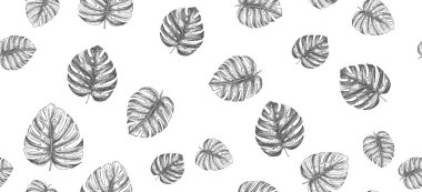 Tropikal yapraklar elle çizilmiş