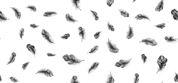 白色背景的羽毛 手绘插图 — 图库矢量图片