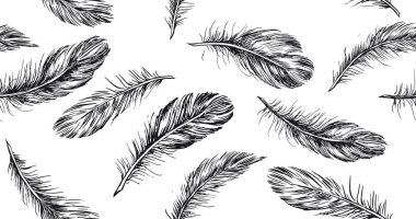 Beyaz arkaplanda el çizimi tüy.