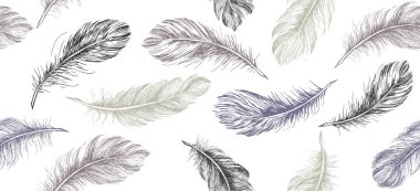 Beyaz arkaplanda el çizimi tüy.