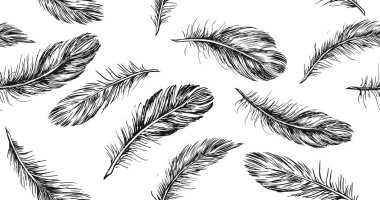 Beyaz arkaplanda el çizimi tüy.