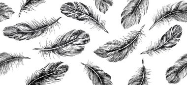 Beyaz arkaplanda el çizimi tüy.