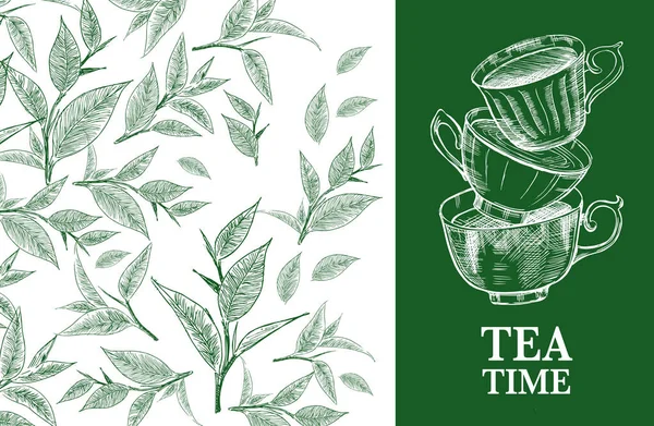 Tea Time Vektorhintergrund Mit Grünem Tee Handgezeichnet — Stockvektor