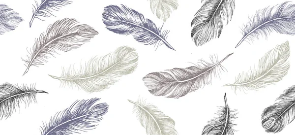 Hand drawn feather on white background.