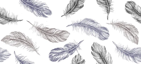 Plumes Dessinées Main Sur Fond Blanc — Image vectorielle