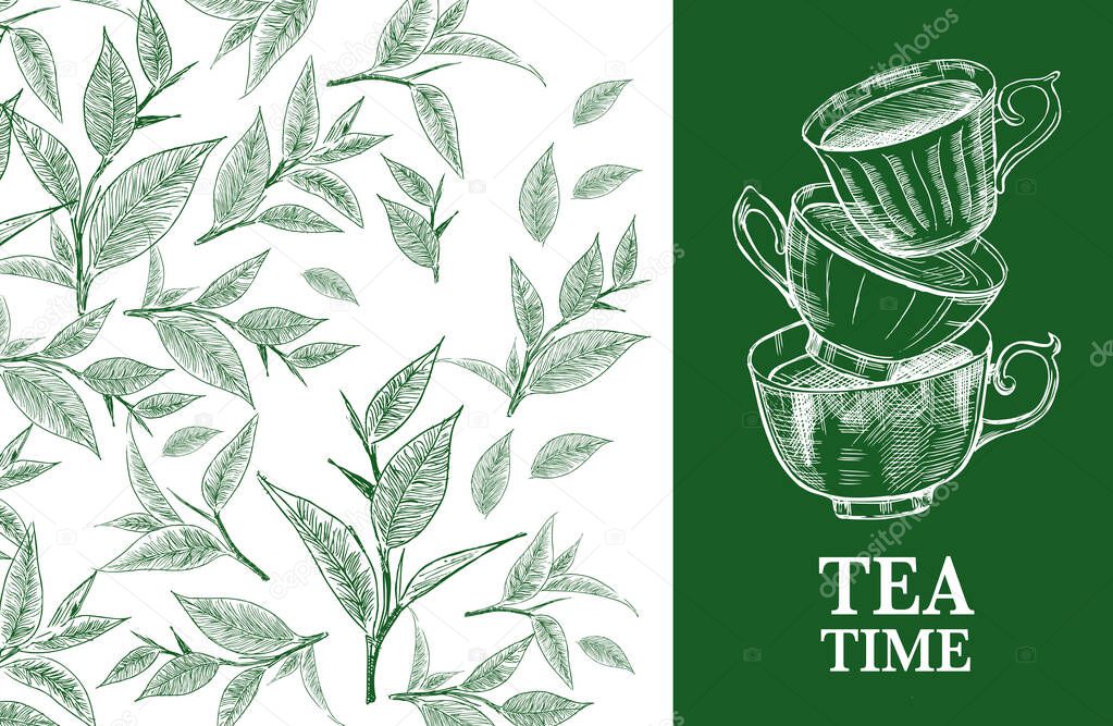 Tea Time. Vector background with green tea. Hand drawn.