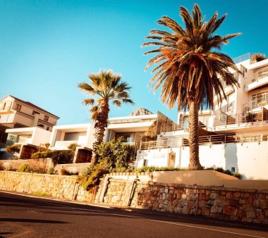 Güney Afrika 'daki Cape Town' un güzel güneşli manzarası. Güneşli bir günde palmiye ağaçları yol boyunca büyürler. Güneş alevi palmiye dallarını delip geçer