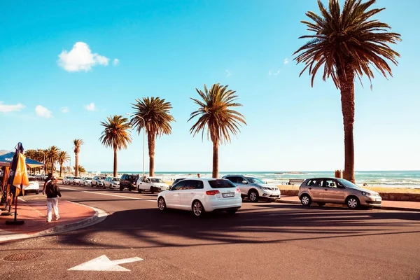 Güney Afrika 'daki Cape Town' un güzel güneşli manzarası. Güneşli bir günde palmiye ağaçları yol boyunca büyürler. Güneş alevi palmiye dallarını delip geçer