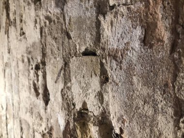 Tuğla duvar - Beyaz. Kahverengi tuğla işi. Beyaz tuğladan duvarı olan mimari bir nesne. tuğla duvar dokusu arkaplanı