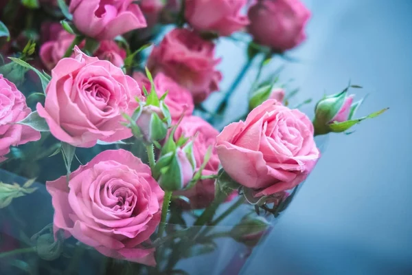 Mavi arka planda bir buket pembe gül. Sevgililer Günü 'nde bir buket pembe gül. Tatil için güzel güller. Doğum günü için güzel güller. arkaplan olarak yükseldi