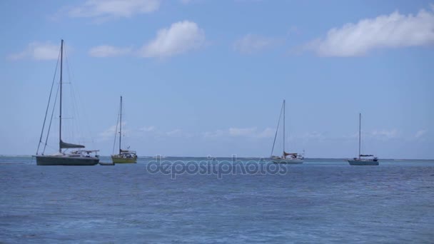Yachts à voile dans la baie de récif en Polynésie française Vidéo De Stock Libre De Droits