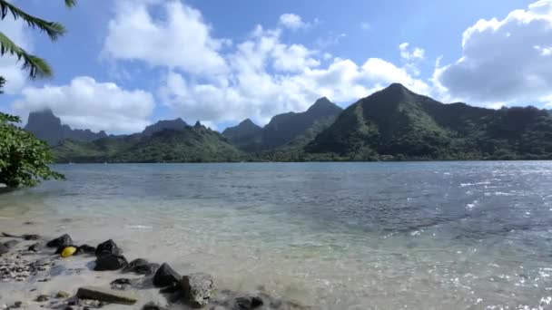 Montagne tropicale verte en Polynésie française Clip Vidéo