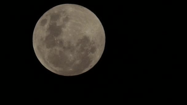 Pleine Lune Dans Pacifique Sud Marquises Qualité Incroyable Séquence Vidéo