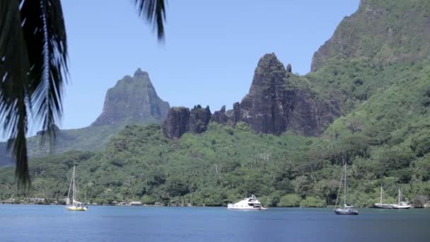 Baie Rochers Polynésie Française Île Île Sœur Tahiti Moorea Île Séquence Vidéo Libre De Droits