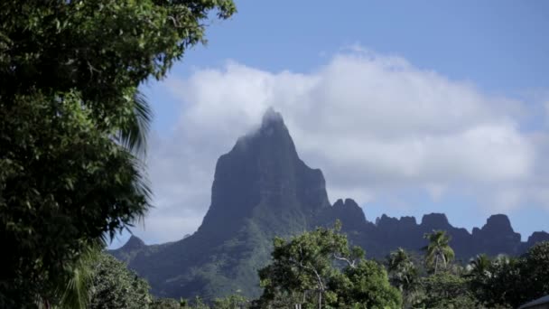 Pointy Rock Jungle Moorea Island Vidéo De Stock