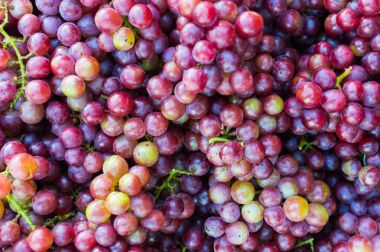 Kırmızı Şaraplık