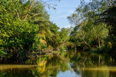 Mekong Deltası'nda küçük kanal.