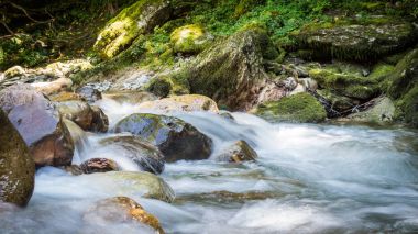 Dağ nehri. Kayalar üzerinde su.