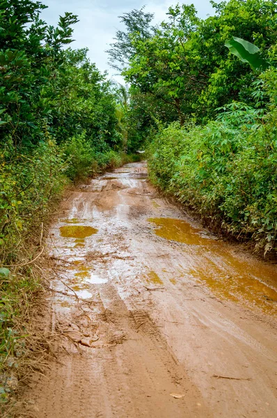 Toprak çamur yol Vietnam ormanda